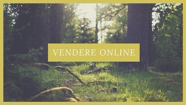 Dove-vendere-online