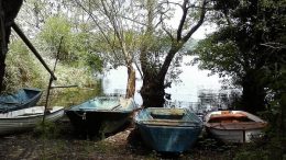 barche-lago-bracciano-lazio