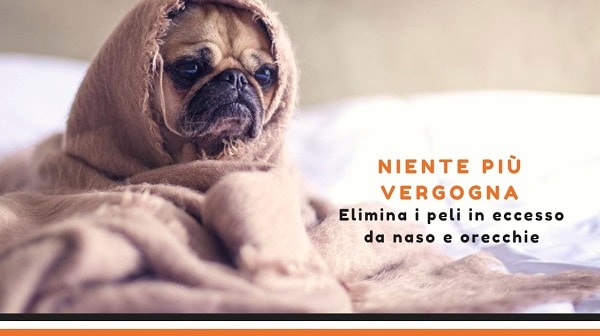 eliminare-peli-eccesso-naso-orecchie