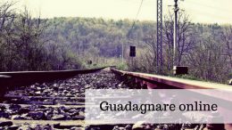 Guadagnare online - Da 0 a 30.000 euro con un blog in 10 mesi, scritto da Valerio Novelli