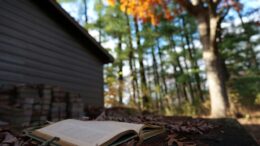 Come creare video con IA nel 2025