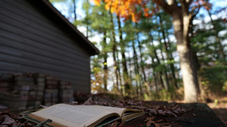 Come creare video con IA nel 2025