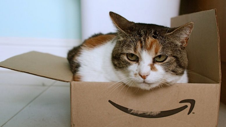 Un gatto all'interno di un pacco Amazon, nuovo accordo con Poste Italiane